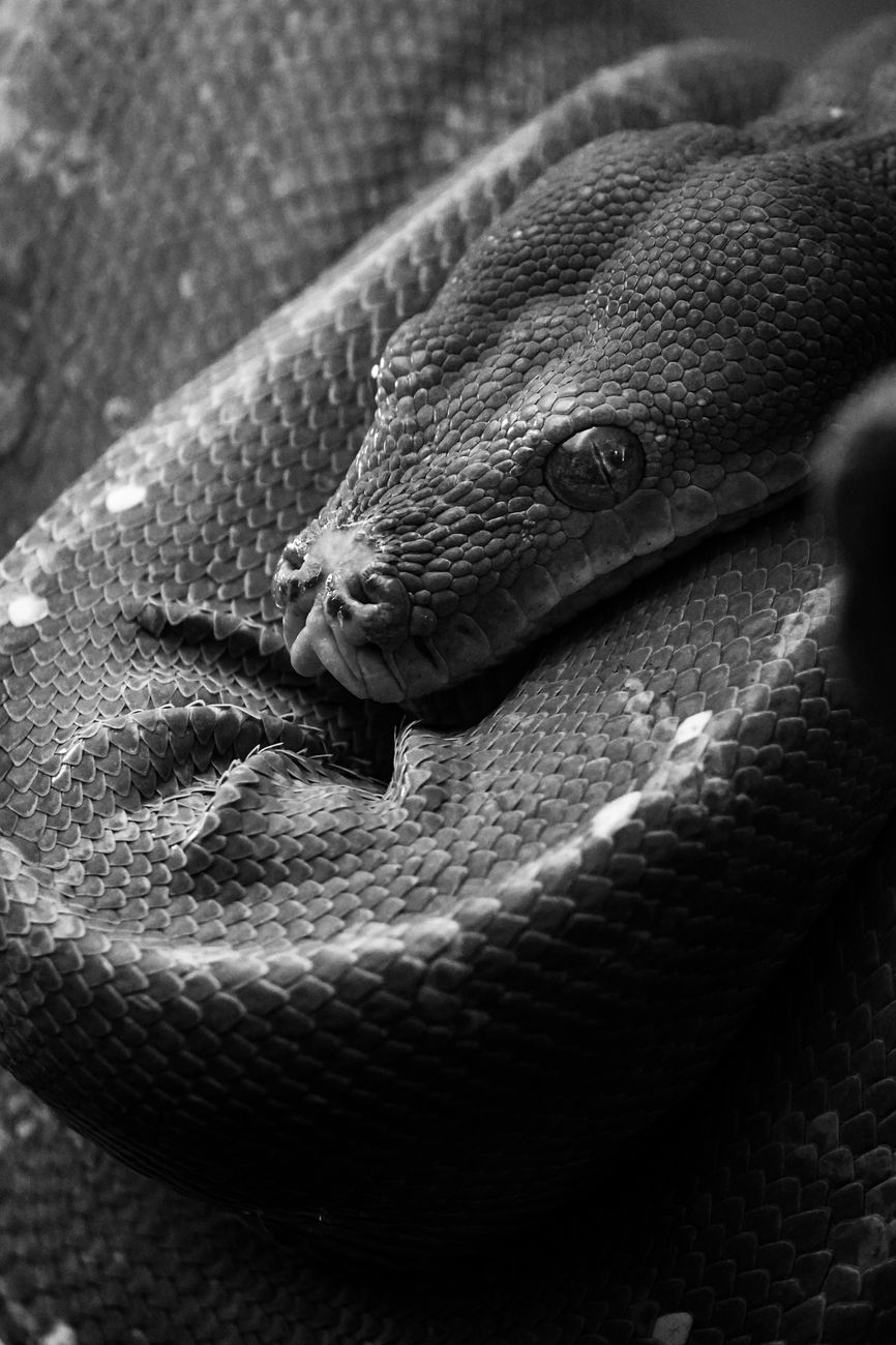 Python多线程爬取评论数据时长的实测对比与技术优化路径