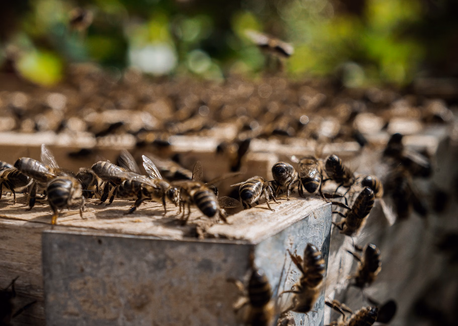 影刀RPA与企编云数据中台对接：Hive表结构同步配置实战指南