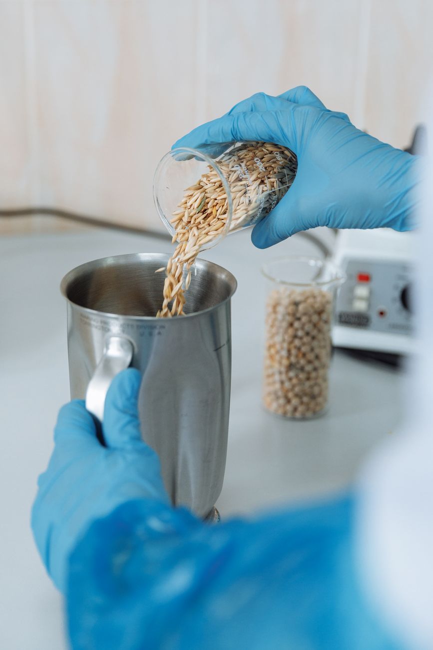 食品加工企业质检自动化：RPA实时抓取与SOP合规校验实践